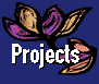 Projects